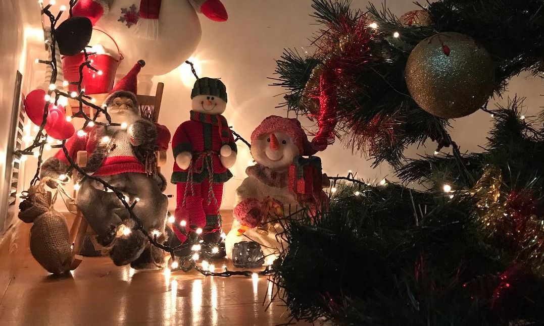 Ακόμη μία Ελληνίδα παρουσιάστρια στόλισε το Χριστουγεννιάτικο δεντράκι της (pics)