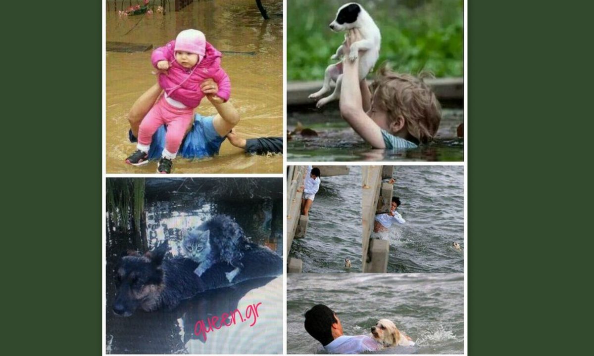 SOS 4 SERBIA !!! PLEASE HELP !!! SOS !!!