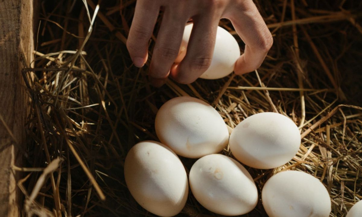 Αυτό είναι το μυστικό για να ξεφλουδίσεις γρήγορα ένα αυγό