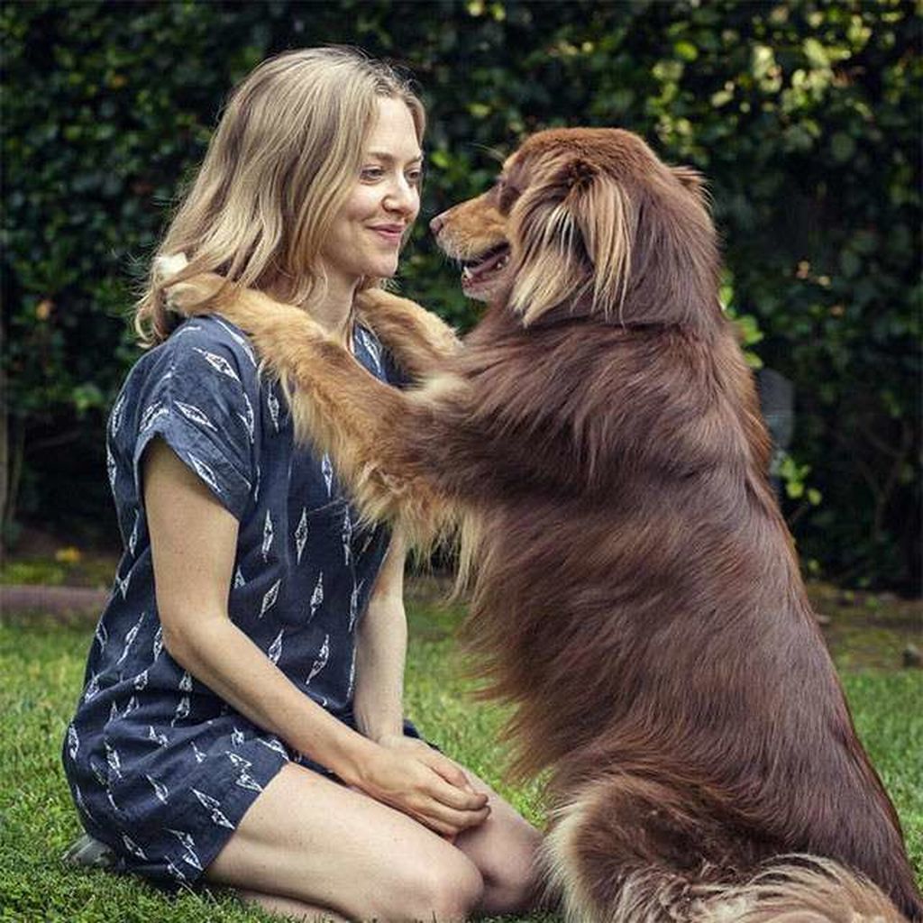 Amanda Seyfried