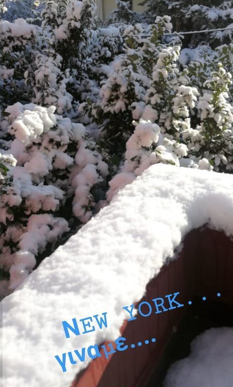 Κατερίνα Γιατζόγλου