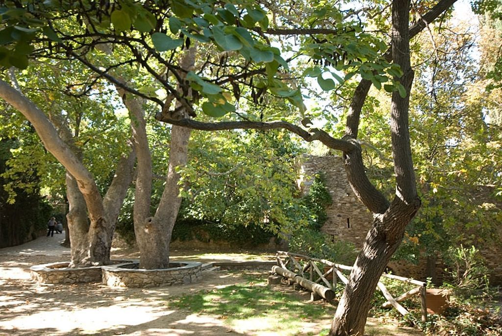 Βόλτα στο Αισθητικό Δάσος Υμηττού: Μια καταπράσινη όαση για κοντινές οικογενειακές αποδράσεις