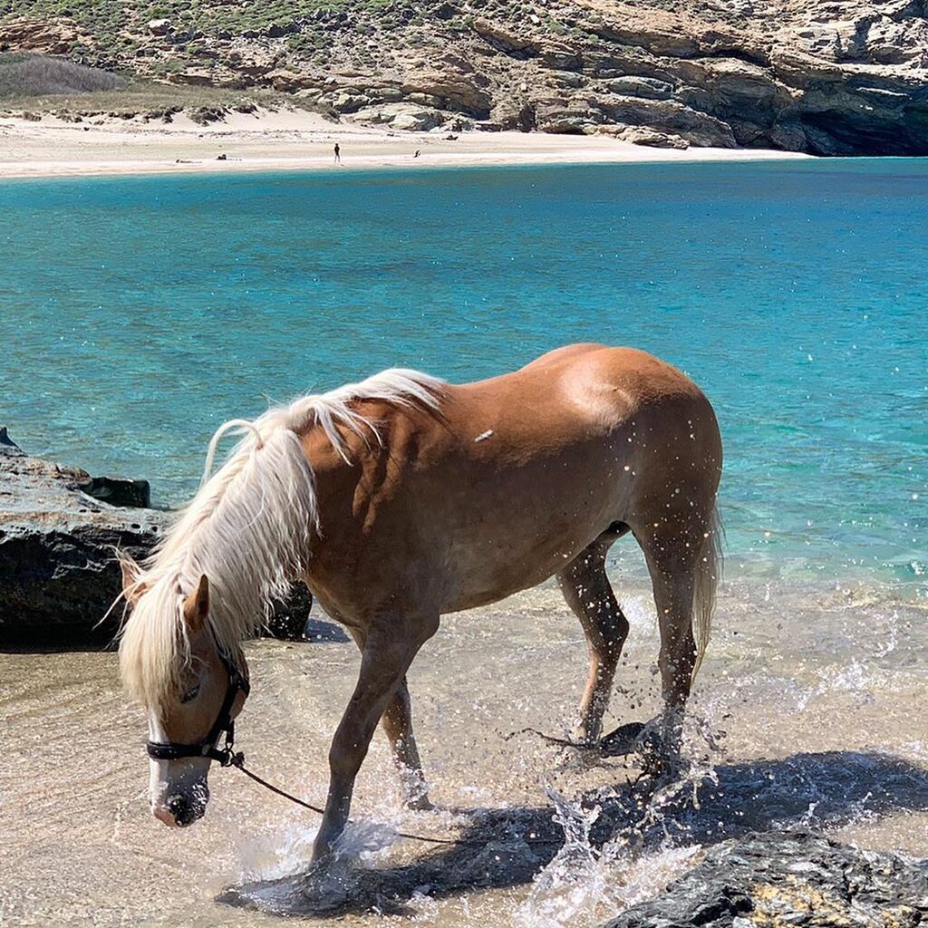 Ελένη Μενεγάκη: Αυτές είναι οι πρώτες καλοκαιρινές φωτογραφίες από την Άνδρο (pics)
