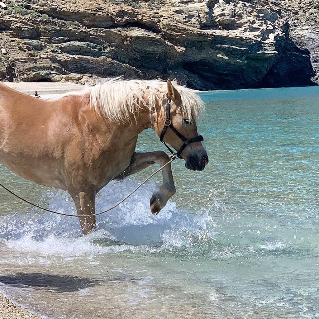 Ελένη Μενεγάκη: Αυτές είναι οι πρώτες καλοκαιρινές φωτογραφίες από την Άνδρο (pics)