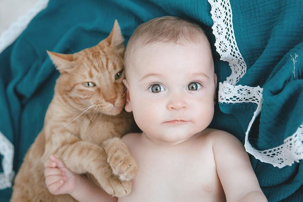 Πηγή φωτογραφίας: Instagram @albayopyop