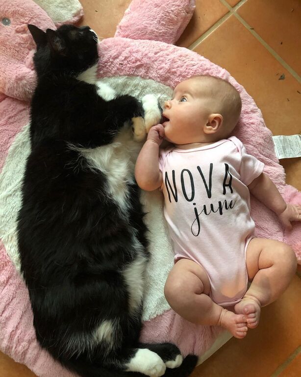 Πηγή φωτογραφίας: Instagram @nova_junebug