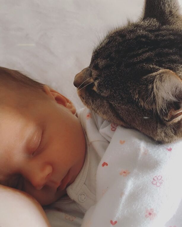Πηγή φωτογραφίας: Instagram @ittlewillow_lilly
