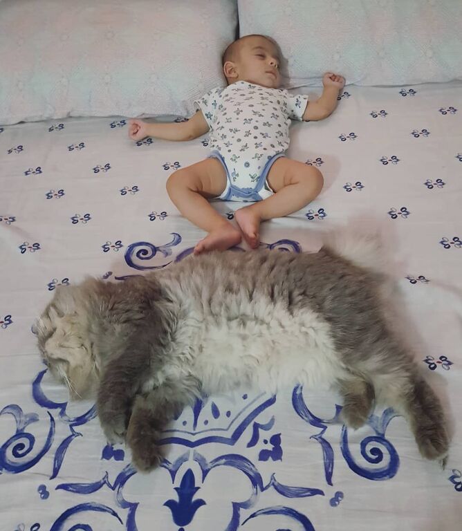 Πηγή φωτογραφίας: Instagram @bellandcasper