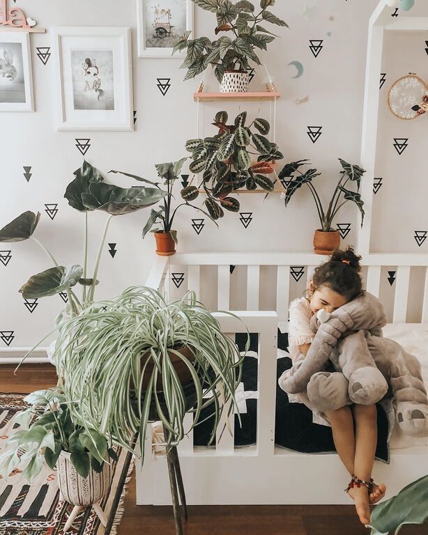 Instagram @Lepetit* Jungle : House Plants
