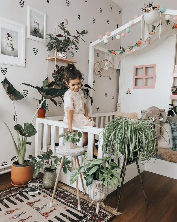 Instagram @Lepetit* Jungle : House Plants