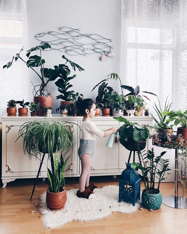 Instagram @Lepetit* Jungle : House Plants