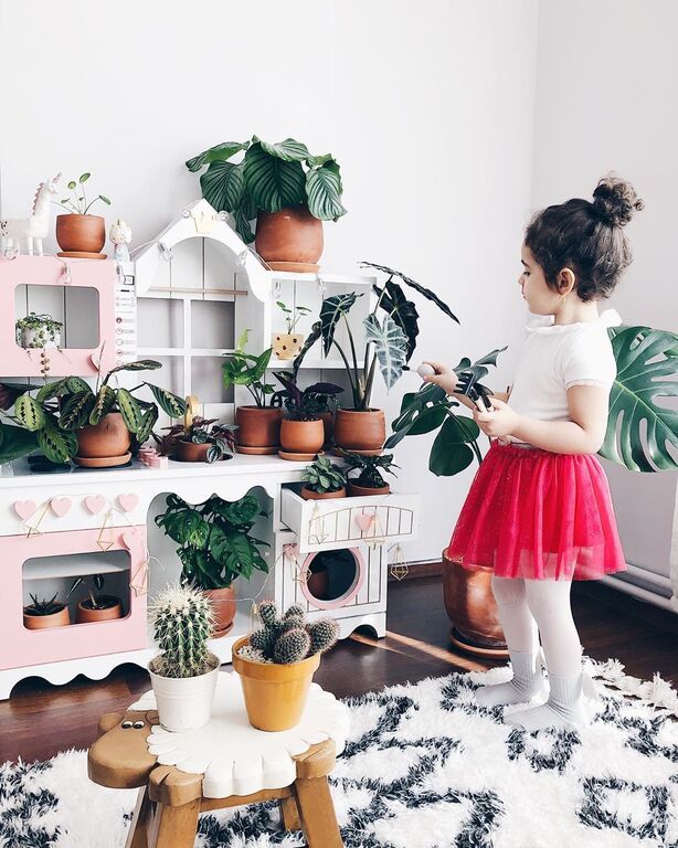 Instagram @Lepetit* Jungle : House Plants