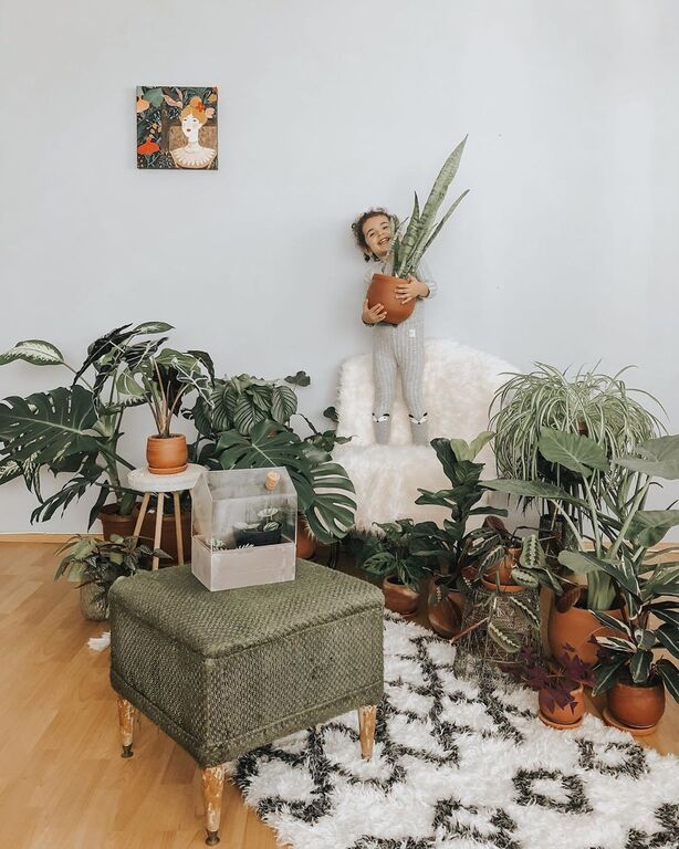 Instagram @Lepetit* Jungle : House Plants