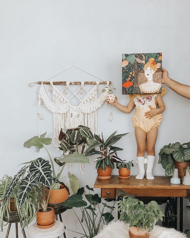 Instagram @Lepetit* Jungle : House Plants