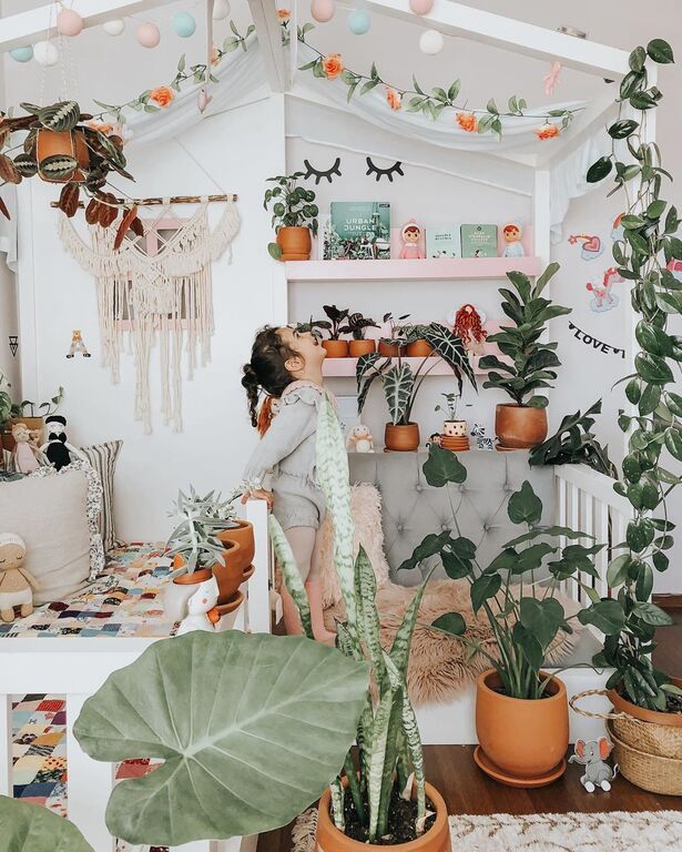 Instagram @Lepetit* Jungle : House Plants