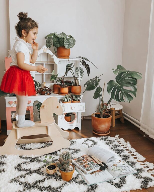 Instagram @Lepetit* Jungle : House Plants