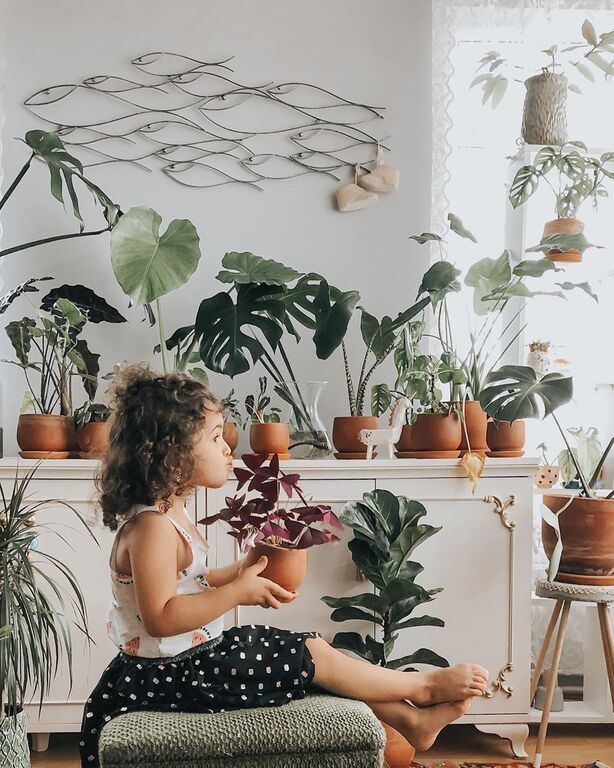 Instagram @Lepetit* Jungle : House Plants
