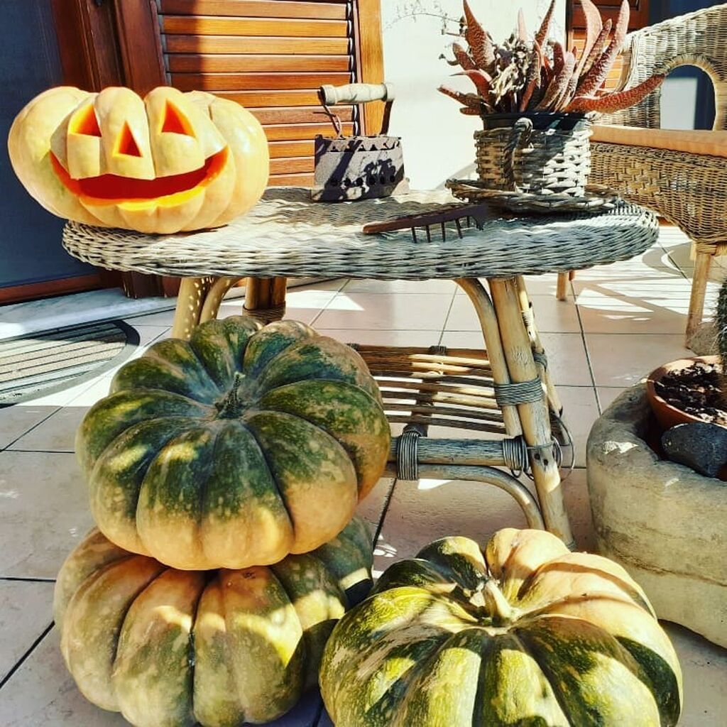 πηγή φωτογραφίας: Instagram @martacreativeworld