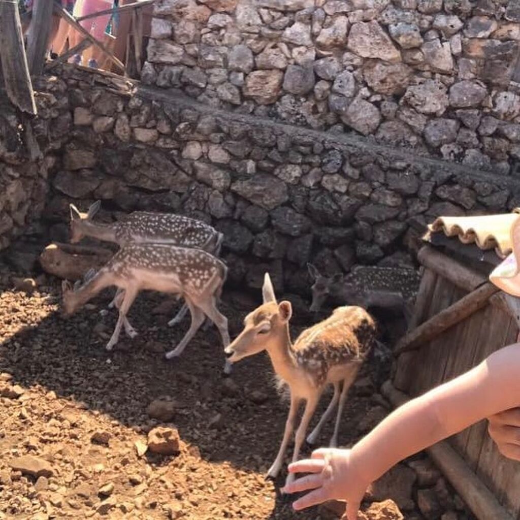 Κλέλια Ρένεση: Βόλτα στη θάλασσα με την κόρη της (pics)
