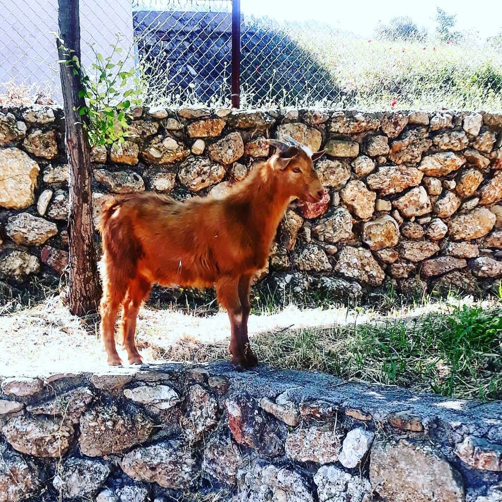Μαρία Λεκάκη: Η throwback φωτογραφία με την κόρη της