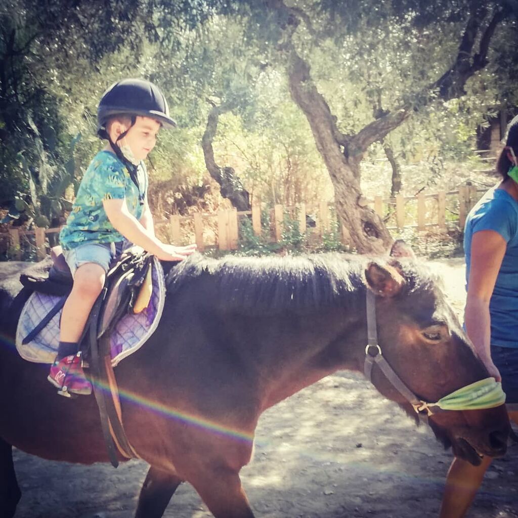Αλίκη Κατσαβού: Η φώτο του Φοίβου με τον Κώστα Βουτσά θα σας συγκινήσει