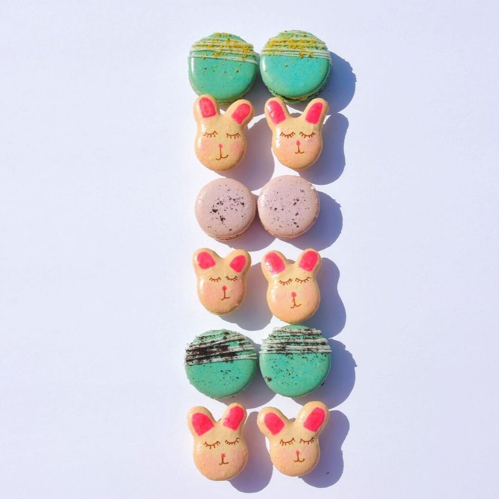 instagram @shaels_macarons