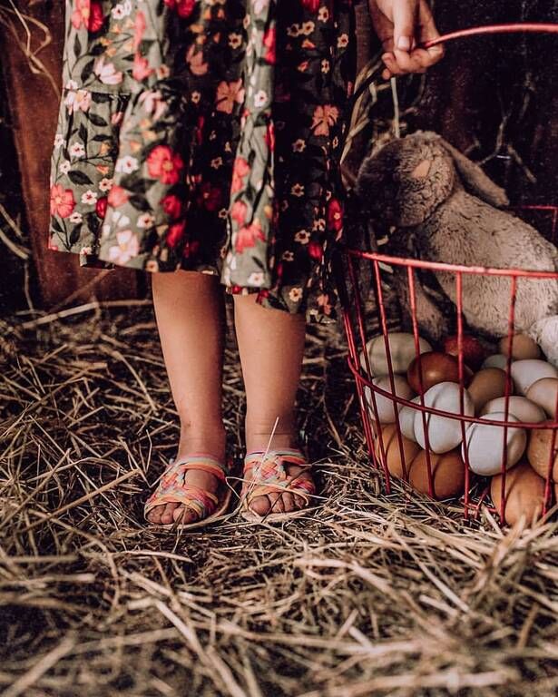 Instagram / wispyfeatherfarm