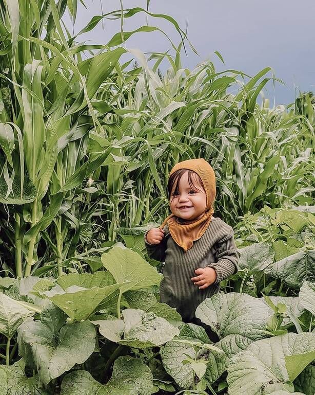 Instagram / wispyfeatherfarm