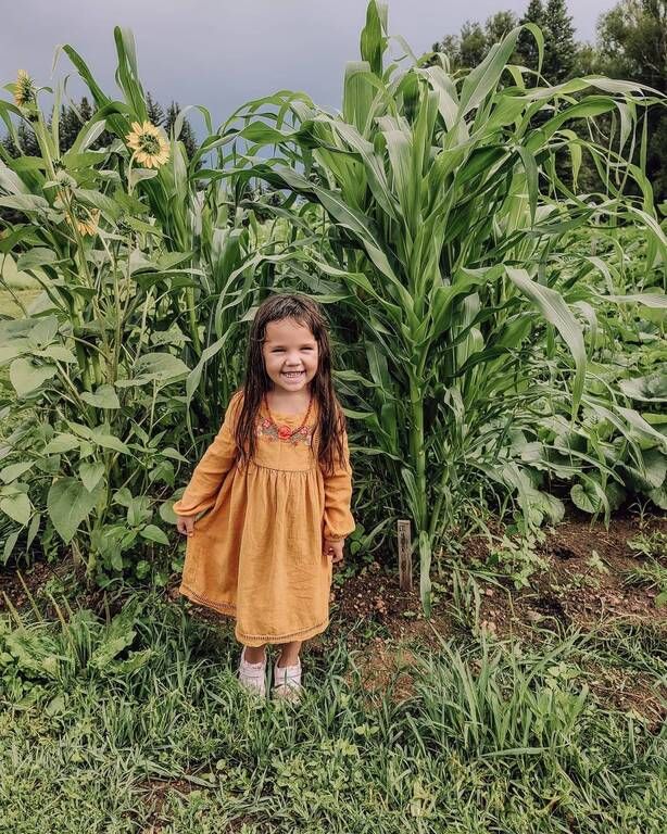 Instagram / wispyfeatherfarm