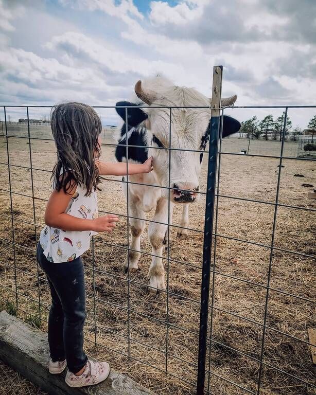 Instagram / wispyfeatherfarm