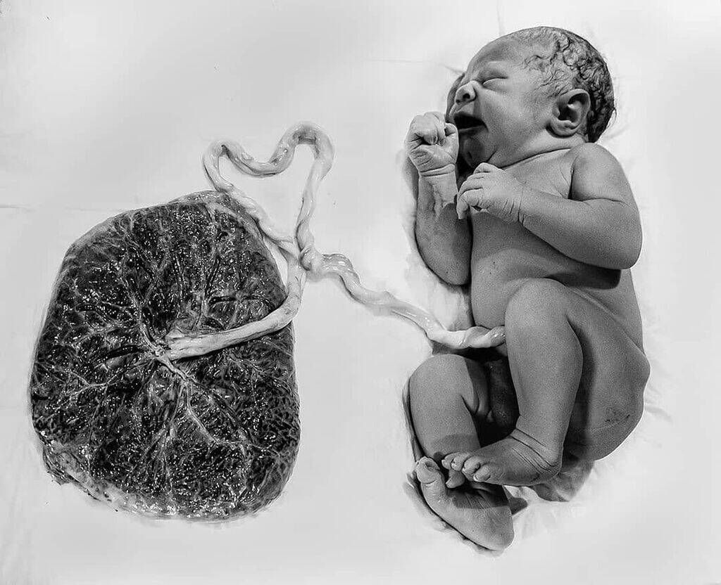 Πηγή φωτογραφίας: Instagram / heleenvanschaikfotografie