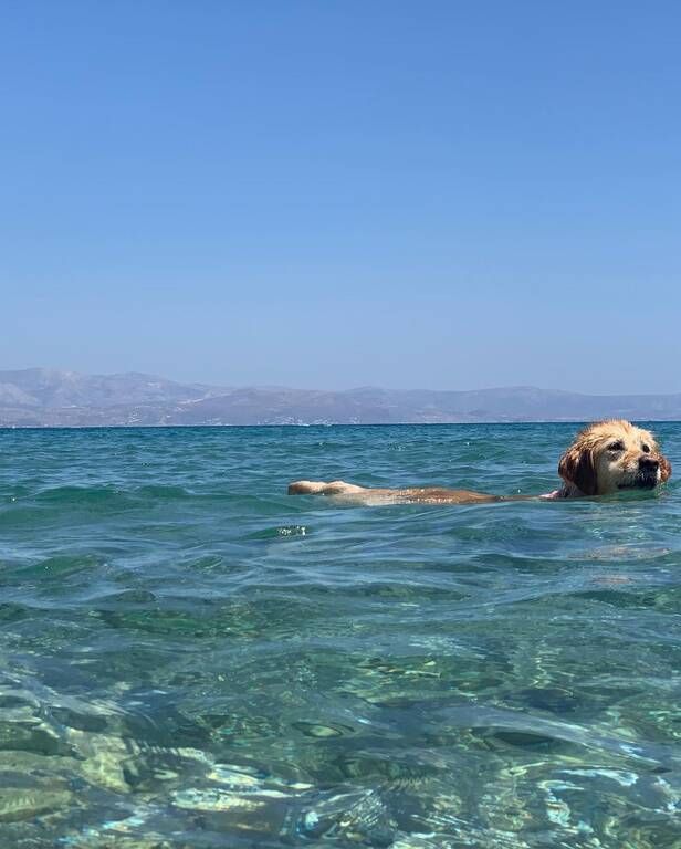 Ο τραγουδιστής μας έδωσε μία γεύση από τις μαγευτικές παραλίες της Πάρου.