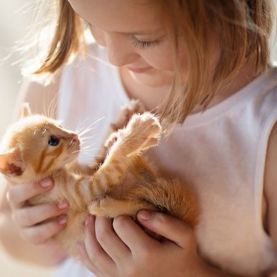 Γιατί μιλάμε μωρουδιακά (baby talk) στα γατάκια μας;
