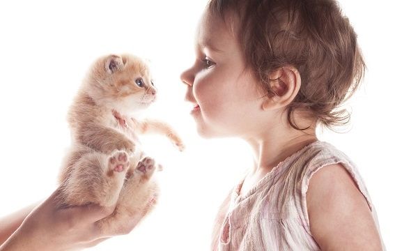 Γάτες και... ζωύφια ωφελούν την υγεία των παιδιών!