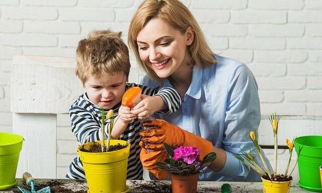 Tips για μαμάδες: Πώς να φροντίσετε τα φυτά σας χωρίς χημικά