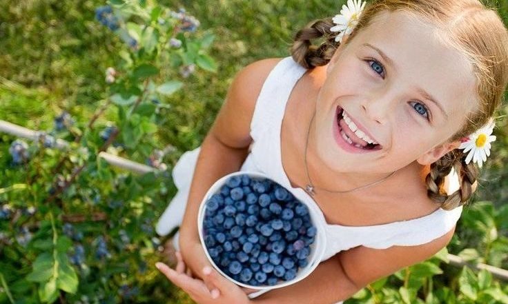 Παιδί και διατροφή: Βάλτε στη ζωή τους το μύρτιλο!