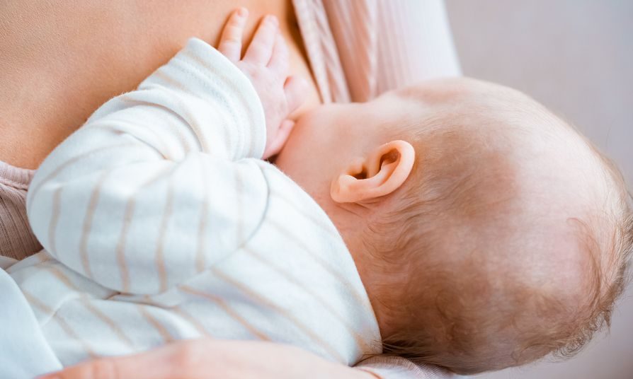 Πώς ρυθμίζεται η παραγωγή γάλακτος από τους μαστούς κατά το θηλασμό;