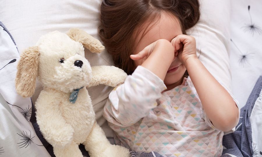 Παιδί και κατοικίδιο: Πώς να το προετοιμάσετε για την απώλεια του