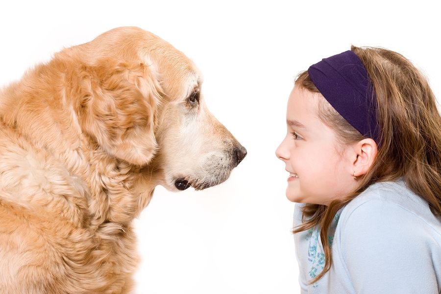 bigstock Cute girl and her dog friend 26478776
