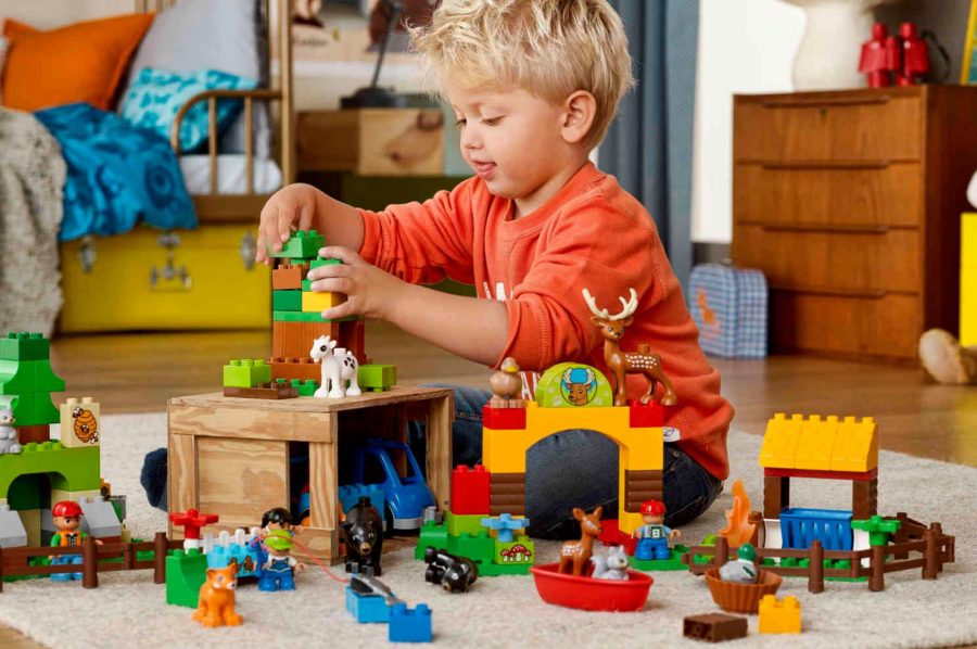LEGO DUPLO PAIXNIDIA 2