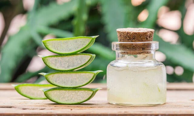 aloe