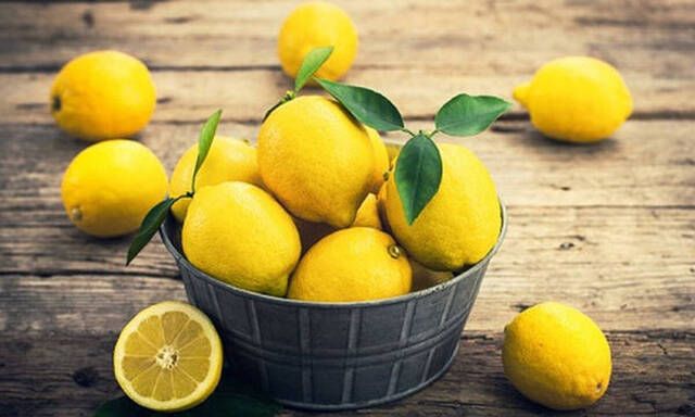 lemonia 1