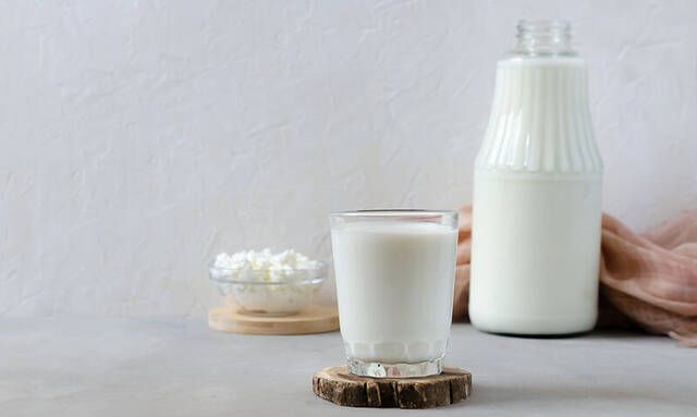 probiotics1