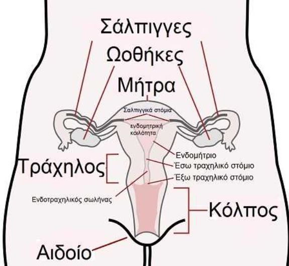 eksapseis stin emminopavsi