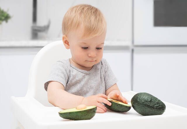 baby led weaning avocado 1