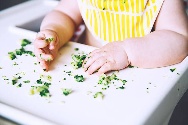 baby led weaning odigos asfaleias 2