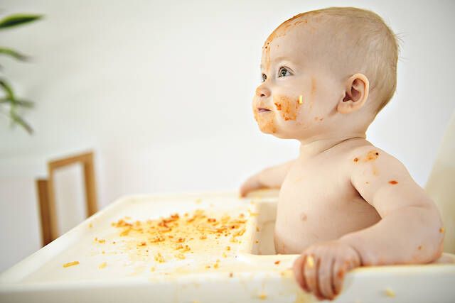 baby led weaning diatrofi moro 2