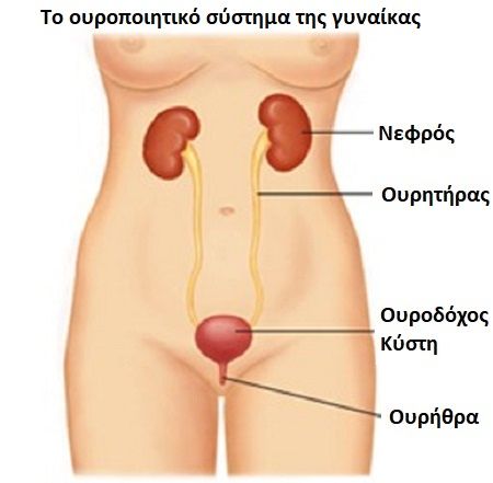 sixnouria