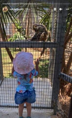 nikoletta rali kori zoologikos kipos