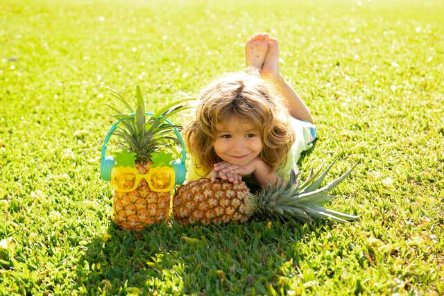 ananas paidia